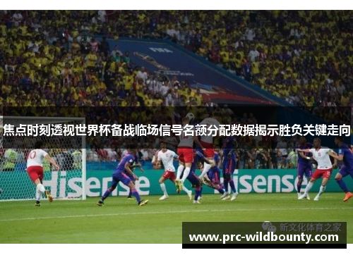 焦点时刻透视世界杯备战临场信号名额分配数据揭示胜负关键走向 焦点时刻透视世界杯备战临场信号名额分配数据揭示胜负关键走向