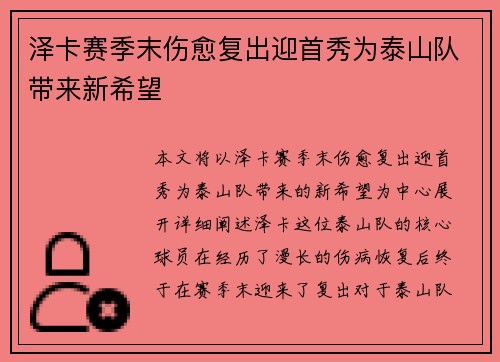 泽卡赛季末伤愈复出迎首秀为泰山队带来新希望 泽卡赛季末伤愈复出迎首秀为泰山队带来新希望